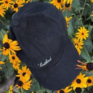 Catbird Souvenir Shell Cap